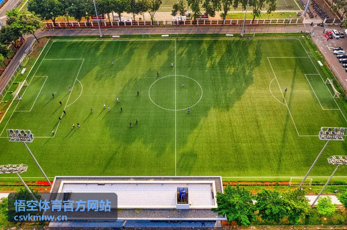 悟空体育核心力量训练片段封面